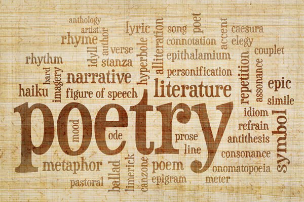 The Poetry Well