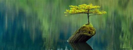 Gentle Meditation