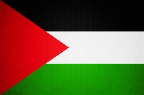 Medical Aid for Palestinians Fundraiser